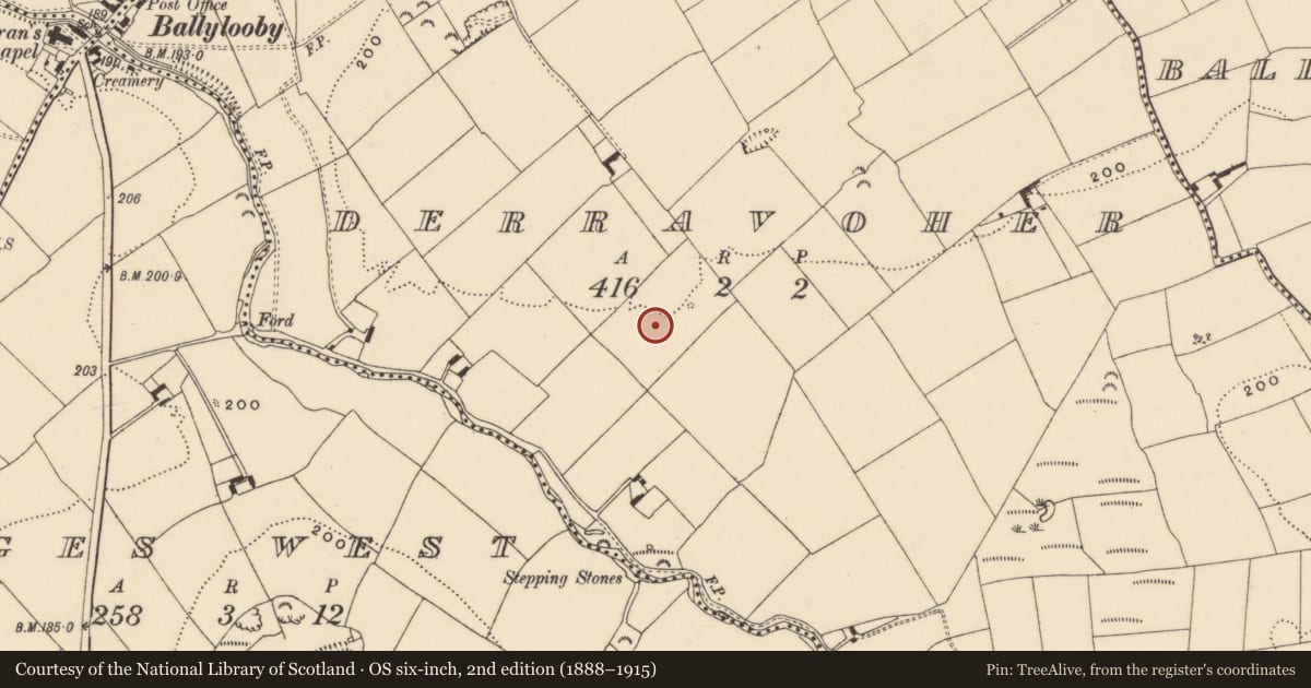 Ordnance Survey six-inch map, 2nd edition (1888–1915) covering the location of Enclosure, Derravoher, County Tipperary South, with a pin at the register's coordinates