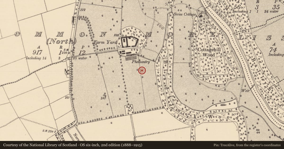 Ordnance Survey six-inch map, 2nd edition (1888–1915) covering the location of Enclosure, Kilcommon More (North), County Tipperary South, with a pin at the register's coordinates