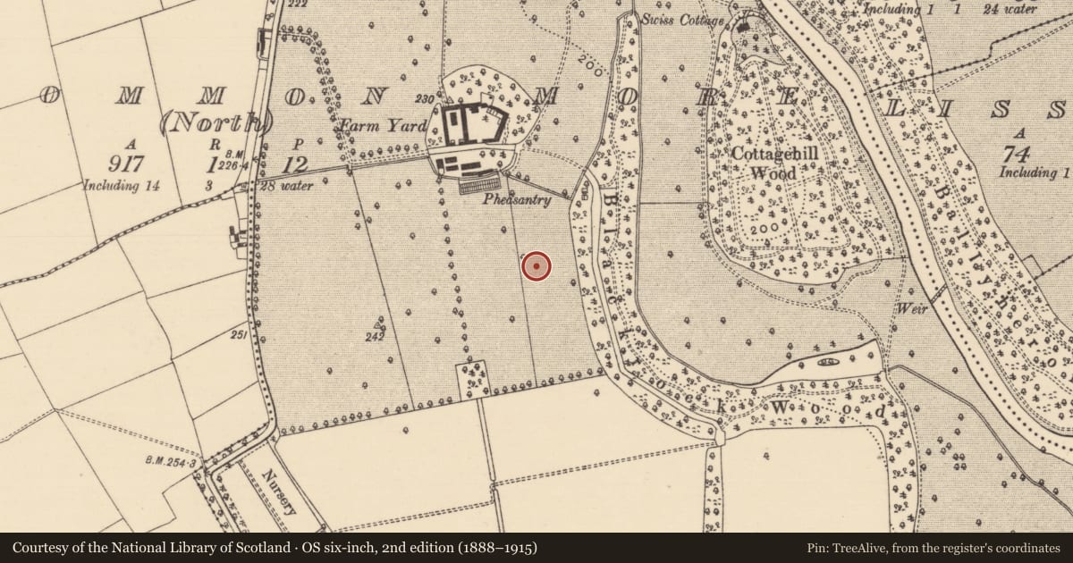 Ordnance Survey six-inch map, 2nd edition (1888–1915) covering the location of Enclosure, Kilcommon More (North), County Tipperary South, with a pin at the register's coordinates