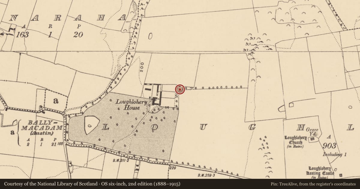 Ordnance Survey six-inch map, 2nd edition (1888–1915) covering the location of Enclosure, Loughlohery, County Tipperary South, with a pin at the register's coordinates