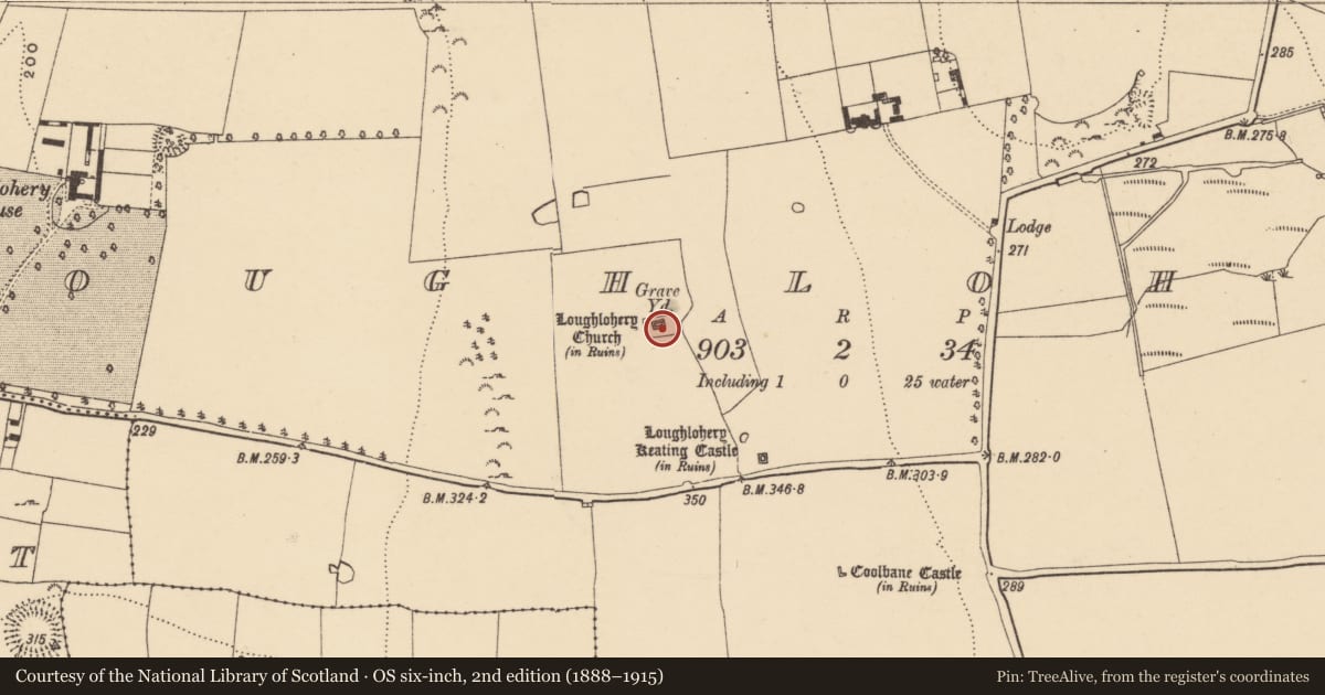 Ordnance Survey six-inch map, 2nd edition (1888–1915) covering the location of Graveyard, Loughlohery, County Tipperary South, with a pin at the register's coordinates