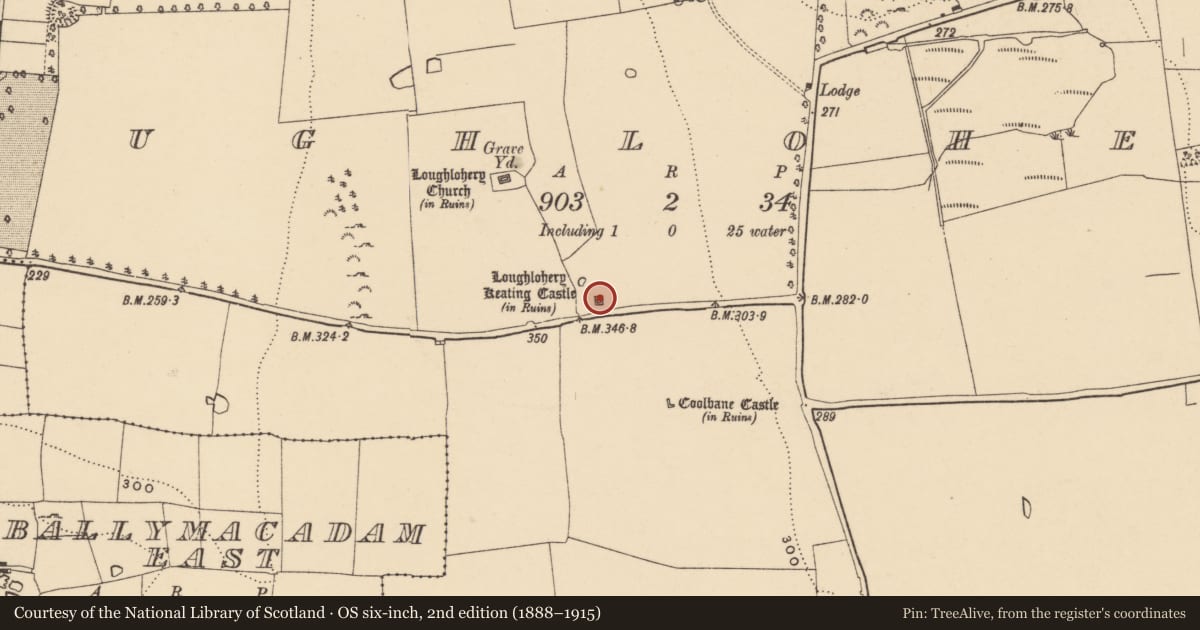 Ordnance Survey six-inch map, 2nd edition (1888–1915) covering the location of Castle - tower house, Loughlohery, County Tipperary South, with a pin at the register's coordinates