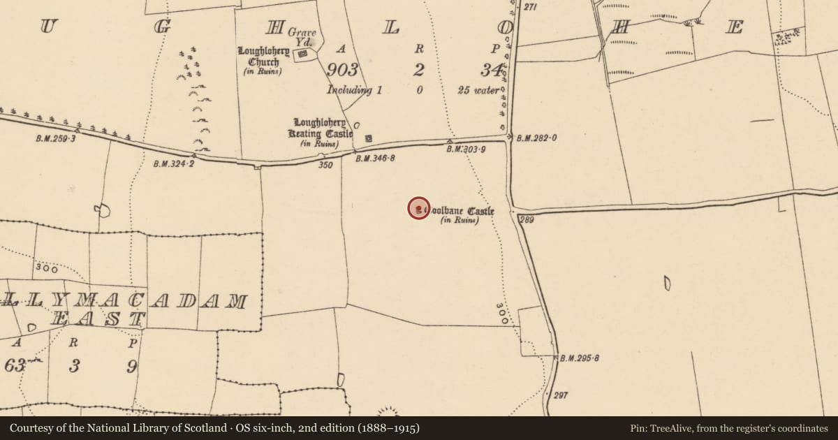 Ordnance Survey six-inch map, 2nd edition (1888–1915) covering the location of Castle - tower house, Loughlohery, County Tipperary South, with a pin at the register's coordinates