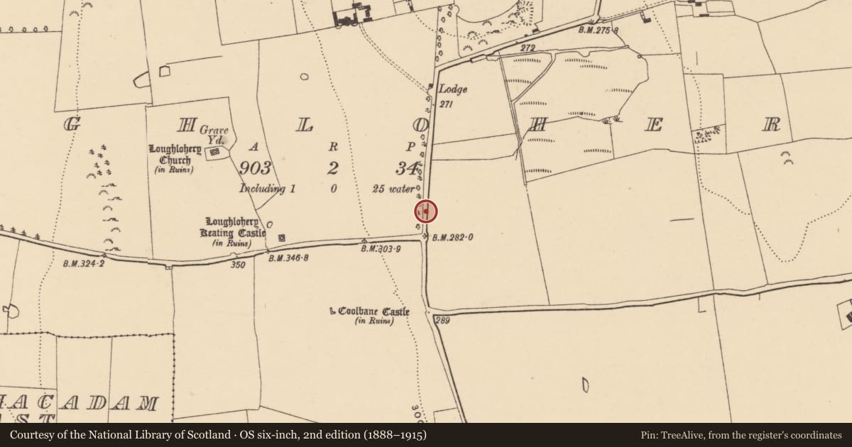 Ordnance Survey six-inch map, 2nd edition (1888–1915) covering the location of Road - road/trackway, County Tipperary South, with a pin at the register's coordinates