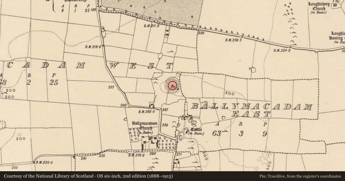 Ordnance Survey six-inch map, 2nd edition (1888–1915) covering the location of Ringfort - rath, Ballymacadam East, Ballymacadam West, County Tipperary South, with a pin at the register's coordinates