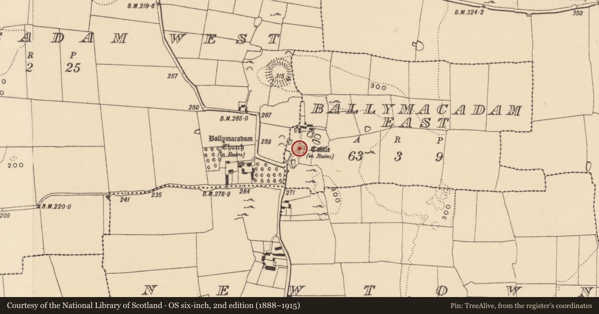 Ordnance Survey six-inch map, 2nd edition (1888–1915) covering the location of Castle - unclassified, Ballymacadam East, County Tipperary South, with a pin at the register's coordinates