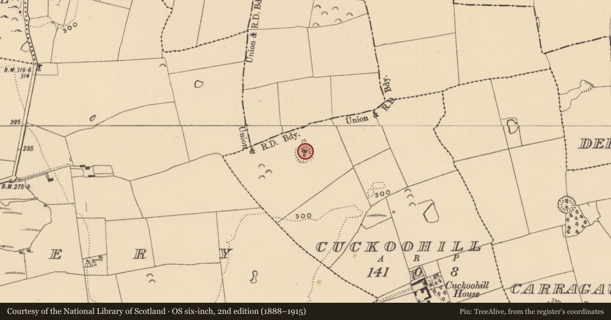 Ordnance Survey six-inch map, 2nd edition (1888–1915) covering the location of Enclosure, Cuckoohill, County Tipperary South, with a pin at the register's coordinates