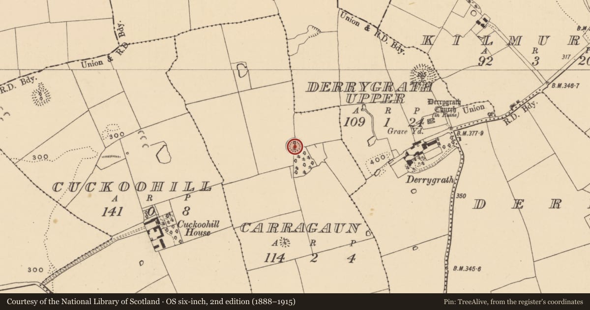 Ordnance Survey six-inch map, 2nd edition (1888–1915) covering the location of Ringfort - rath, Carragaun, County Tipperary South, with a pin at the register's coordinates
