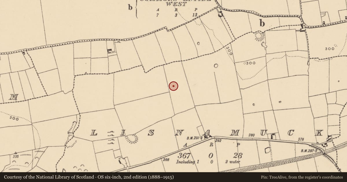 Ordnance Survey six-inch map, 2nd edition (1888–1915) covering the location of Enclosure, Lisnamuck, County Tipperary South, with a pin at the register's coordinates