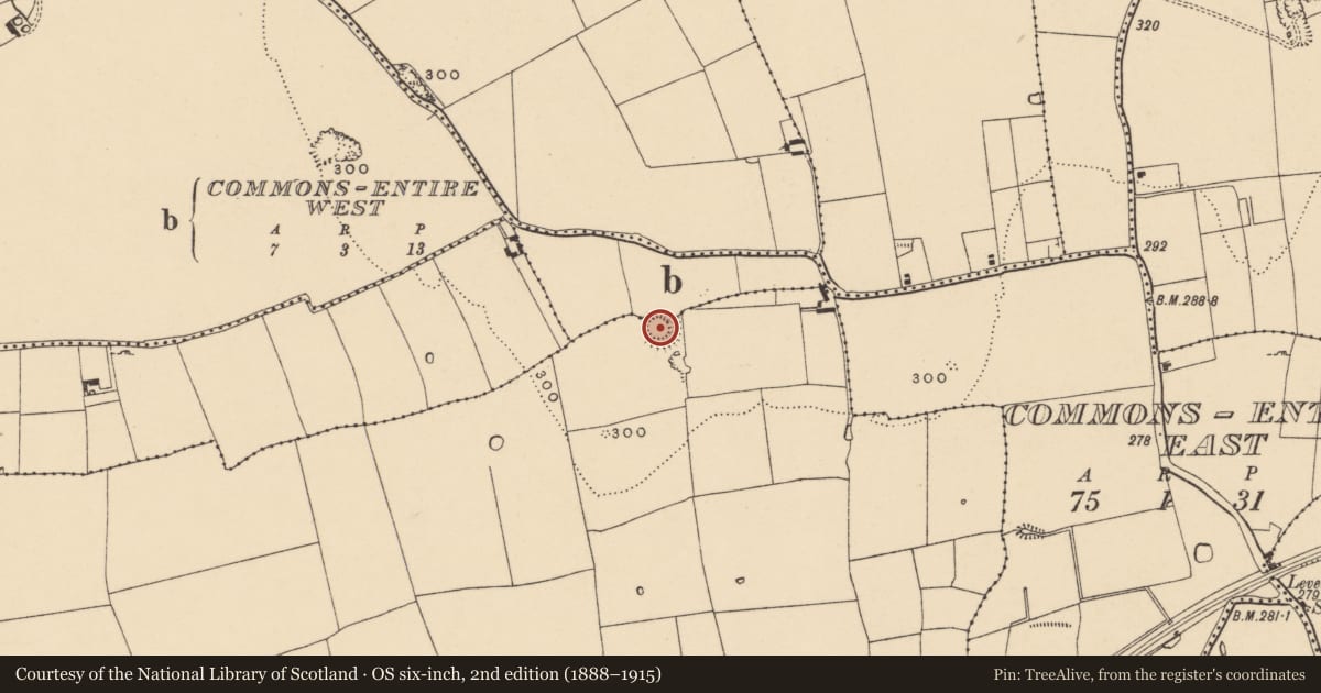 Ordnance Survey six-inch map, 2nd edition (1888–1915) covering the location of Ringfort - rath, Commons-Entire West, Lisnamuck, County Tipperary South, with a pin at the register's coordinates