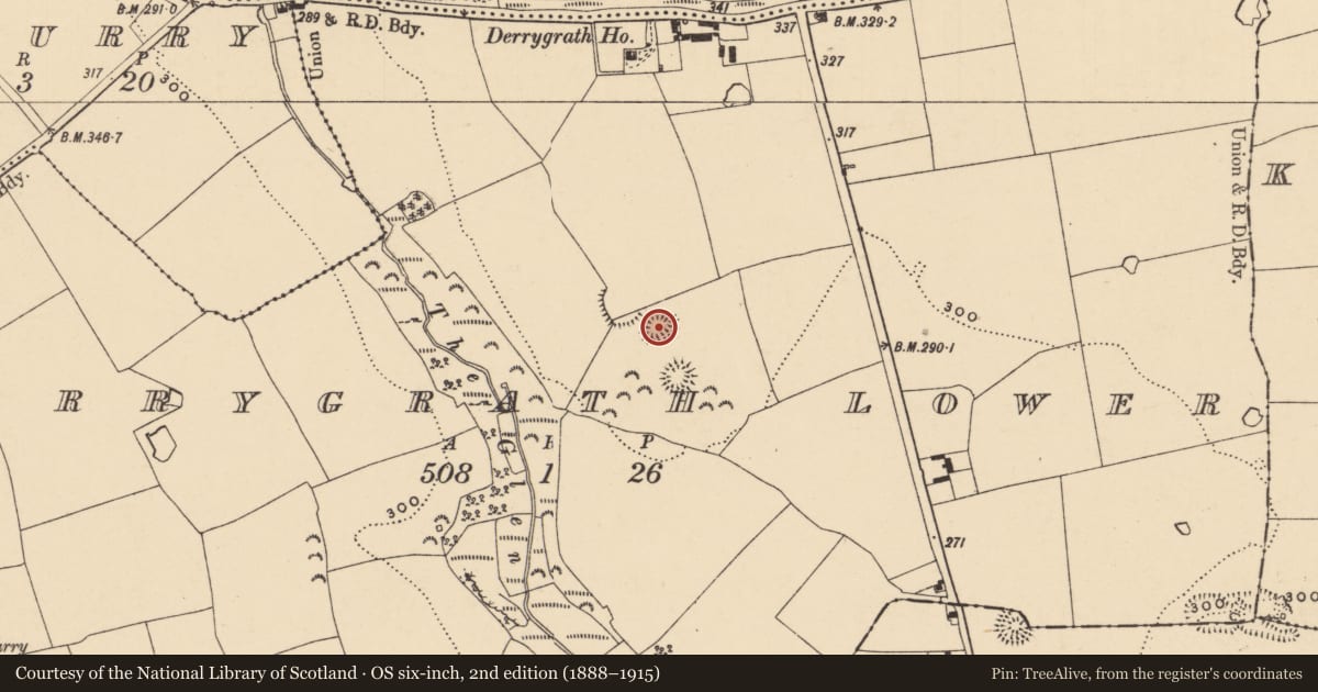 Ordnance Survey six-inch map, 2nd edition (1888–1915) covering the location of Ringfort - rath, Derrygrath Lower, County Tipperary South, with a pin at the register's coordinates