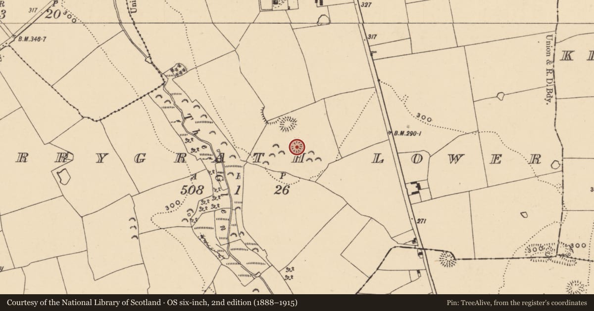 Ordnance Survey six-inch map, 2nd edition (1888–1915) covering the location of Ringfort - rath, Derrygrath Lower, County Tipperary South, with a pin at the register's coordinates