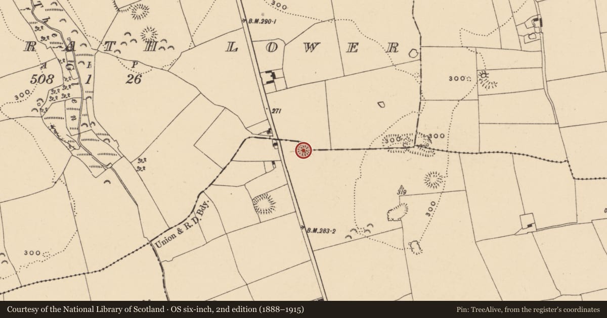Ordnance Survey six-inch map, 2nd edition (1888–1915) covering the location of Earthwork, Carrickconeen, Derrygrath Lower, County Tipperary South, with a pin at the register's coordinates