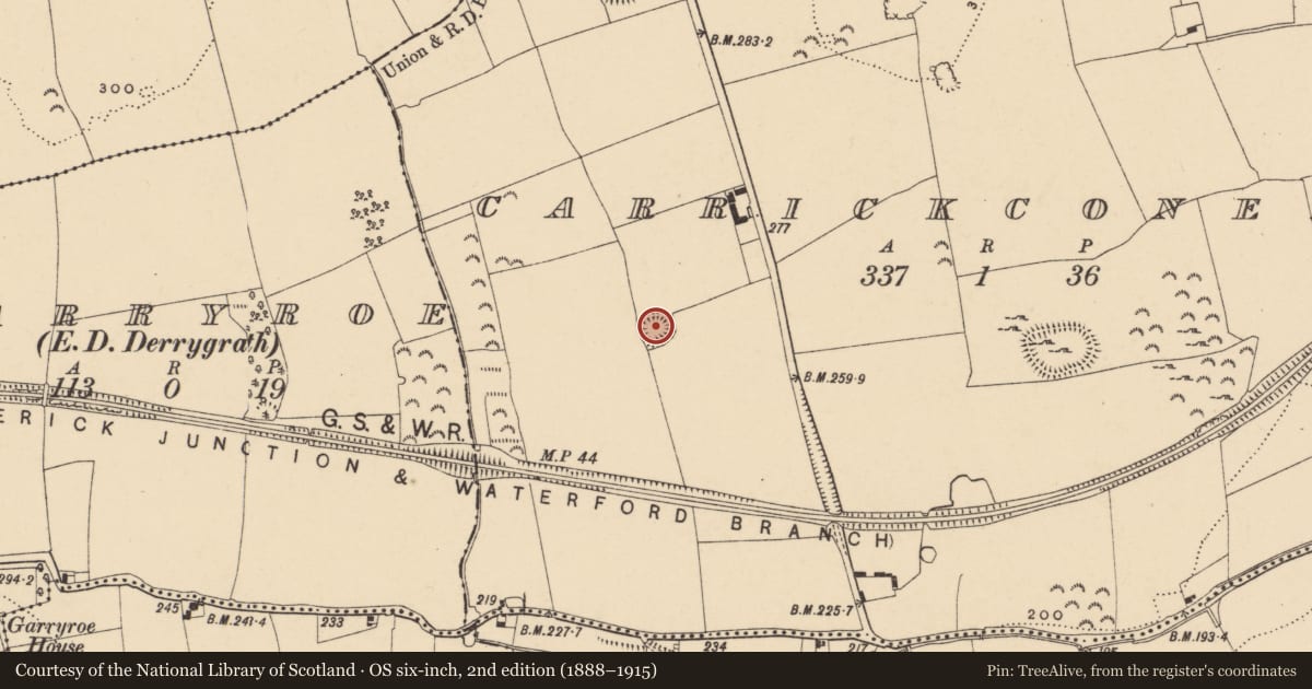 Ordnance Survey six-inch map, 2nd edition (1888–1915) covering the location of Ringfort - rath, Carrickconeen, County Tipperary South, with a pin at the register's coordinates