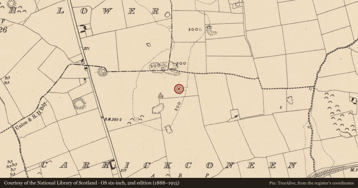 Ordnance Survey six-inch map, 2nd edition (1888–1915) covering the location of Ringfort - rath, Carrickconeen, County Tipperary South, with a pin at the register's coordinates
