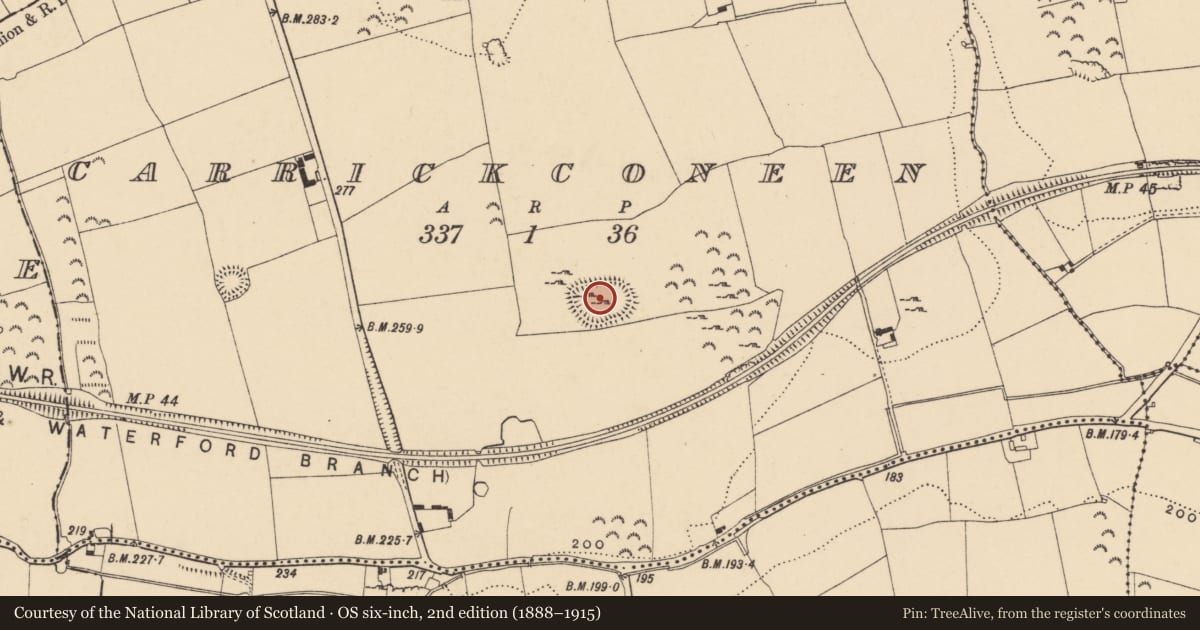 Ordnance Survey six-inch map, 2nd edition (1888–1915) covering the location of Enclosure, Carrickconeen, County Tipperary South, with a pin at the register's coordinates