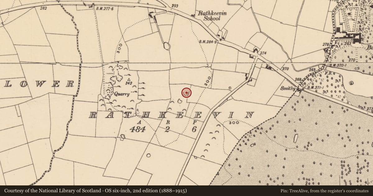 Ordnance Survey six-inch map, 2nd edition (1888–1915) covering the location of Mound, Rathkeevin, County Tipperary South, with a pin at the register's coordinates
