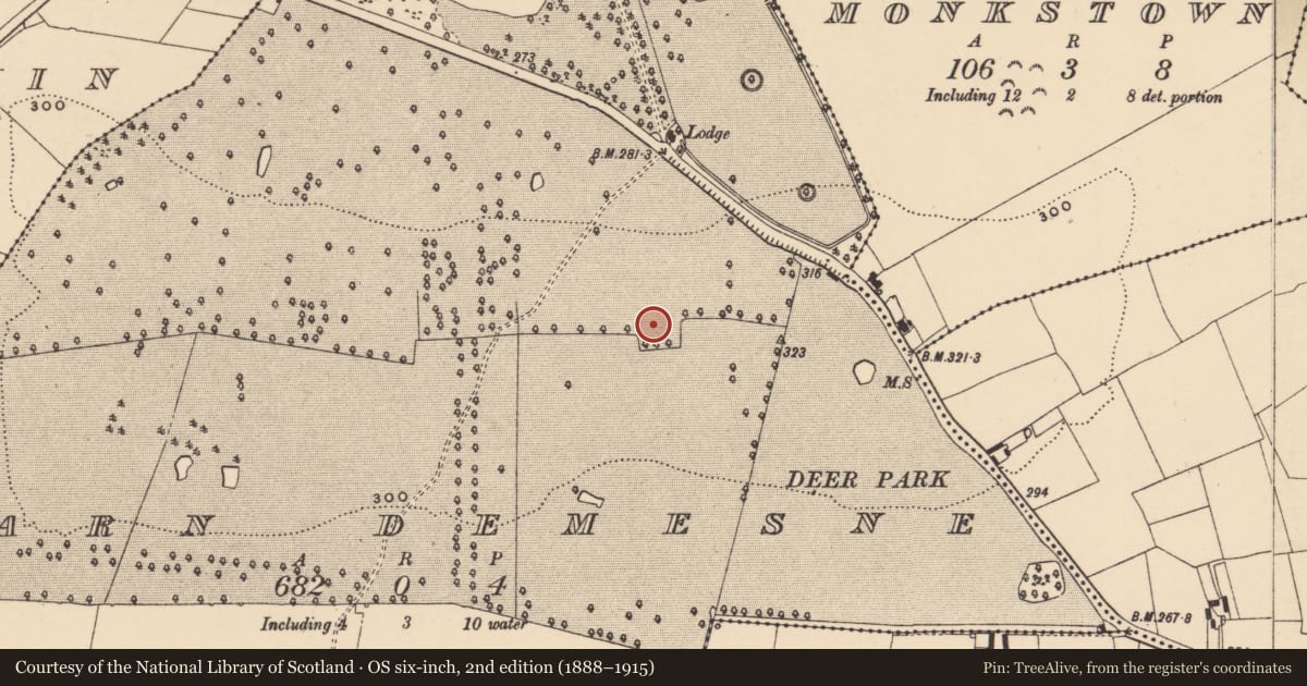 Ordnance Survey six-inch map, 2nd edition (1888–1915) covering the location of Enclosure, Barn Demesne (Inishlounaght Par.), County Tipperary South, with a pin at the register's coordinates