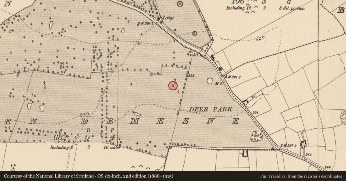 Ordnance Survey six-inch map, 2nd edition (1888–1915) covering the location of Enclosure, Barn Demesne (Inishlounaght Par.), County Tipperary South, with a pin at the register's coordinates