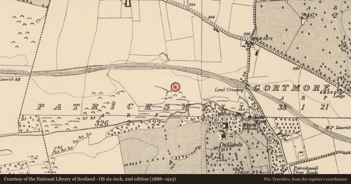 Ordnance Survey six-inch map, 2nd edition (1888–1915) covering the location of Castle - ringwork, Patrickswell (Inishlounaght Par.), County Tipperary South, with a pin at the register's coordinates