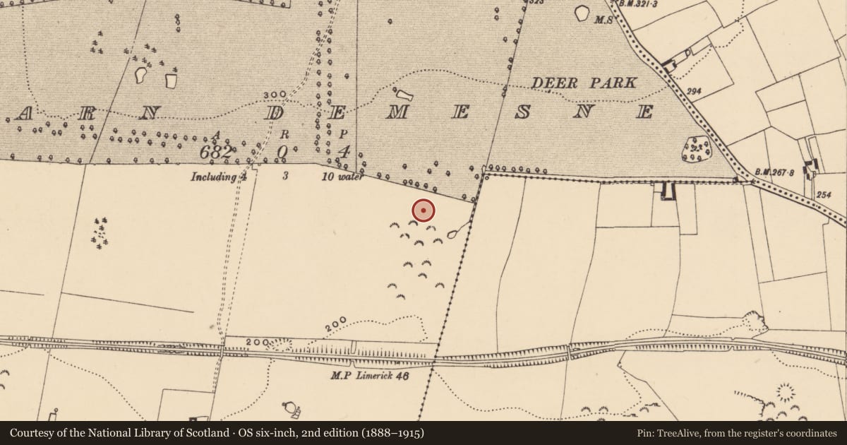 Ordnance Survey six-inch map, 2nd edition (1888–1915) covering the location of Enclosure, Barn Demesne (Inishlounaght Par.), County Tipperary South, with a pin at the register's coordinates