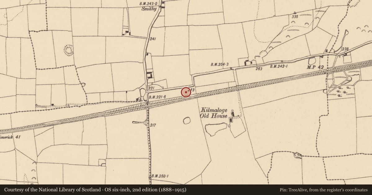 Ordnance Survey six-inch map, 2nd edition (1888–1915) covering the location of Church, Kilmaloge, County Tipperary South, with a pin at the register's coordinates