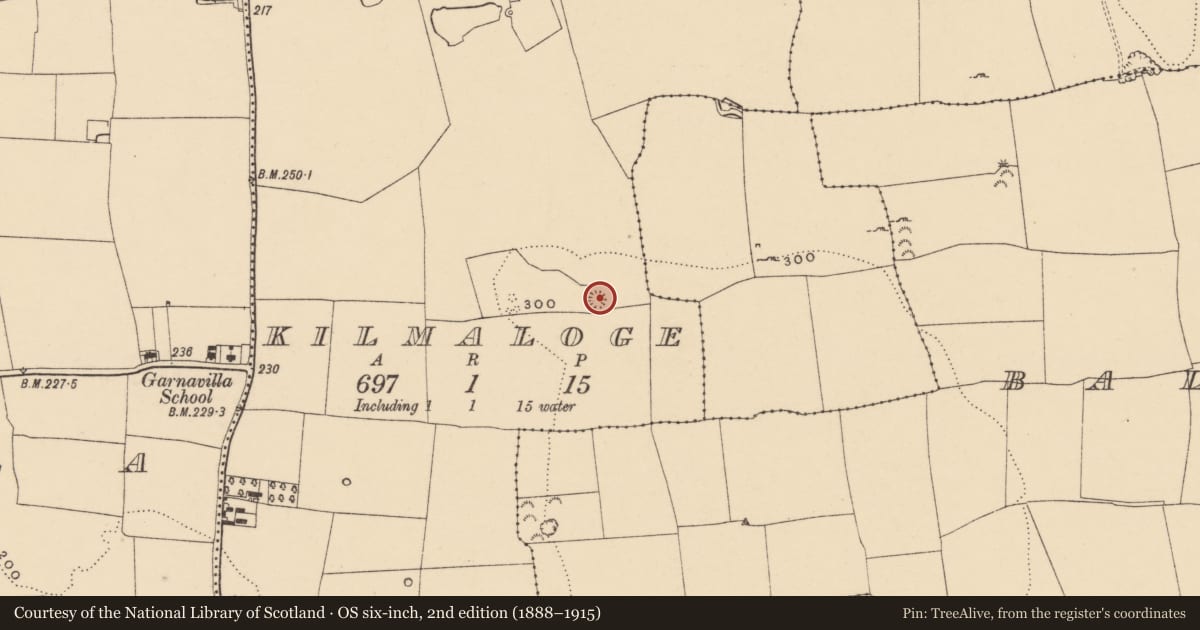 Ordnance Survey six-inch map, 2nd edition (1888–1915) covering the location of Enclosure, Kilmaloge, County Tipperary South, with a pin at the register's coordinates