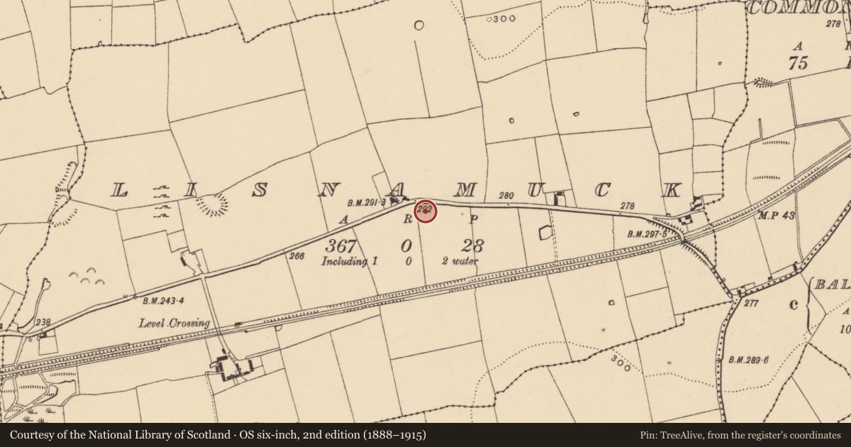 Ordnance Survey six-inch map, 2nd edition (1888–1915) covering the location of Enclosure, Lisnamuck, County Tipperary South, with a pin at the register's coordinates