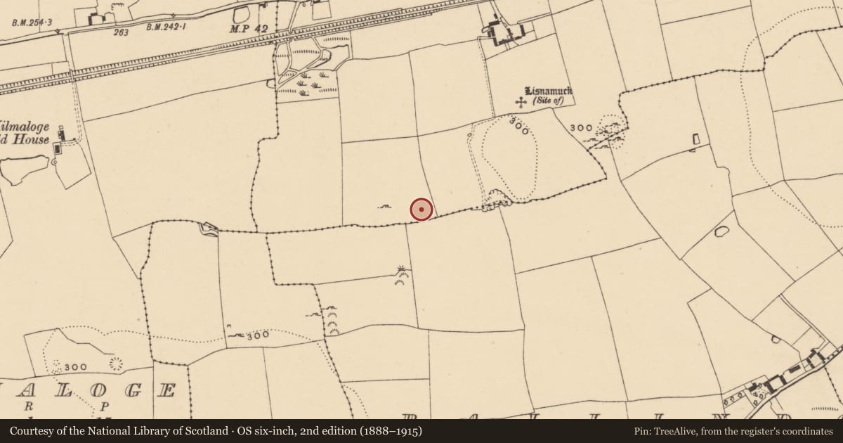 Ordnance Survey six-inch map, 2nd edition (1888–1915) covering the location of Enclosure, Lisnamuck, County Tipperary South, with a pin at the register's coordinates
