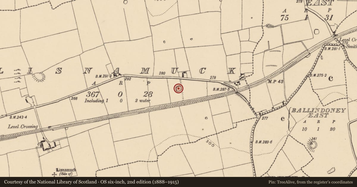 Ordnance Survey six-inch map, 2nd edition (1888–1915) covering the location of Enclosure, Lisnamuck, County Tipperary South, with a pin at the register's coordinates