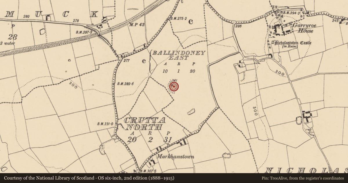 Ordnance Survey six-inch map, 2nd edition (1888–1915) covering the location of Ringfort - rath, Nicholastown, County Tipperary South, with a pin at the register's coordinates