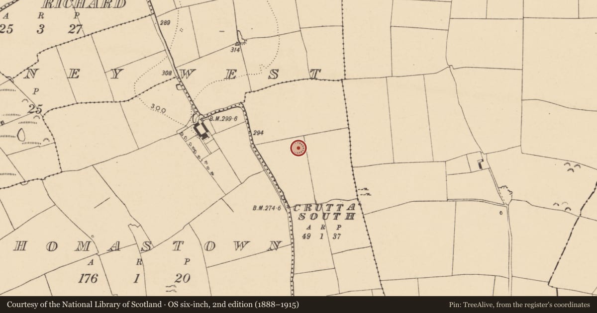 Ordnance Survey six-inch map, 2nd edition (1888–1915) covering the location of Enclosure, Crutta South, County Tipperary South, with a pin at the register's coordinates