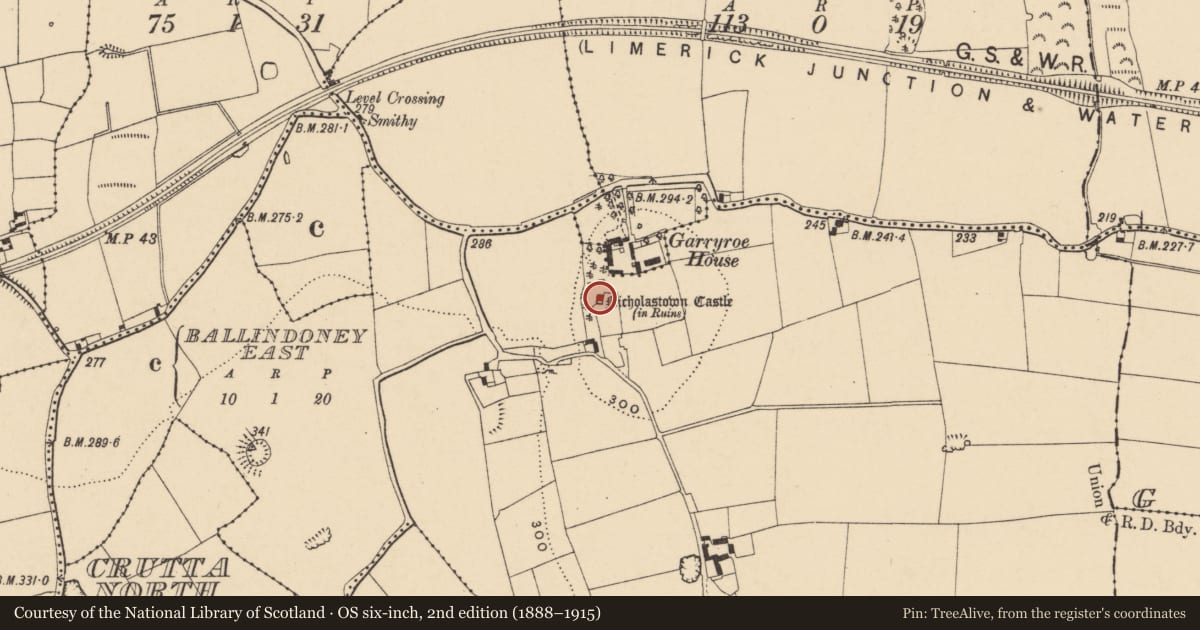 Ordnance Survey six-inch map, 2nd edition (1888–1915) covering the location of Castle - tower house, Nicholastown, County Tipperary South, with a pin at the register's coordinates