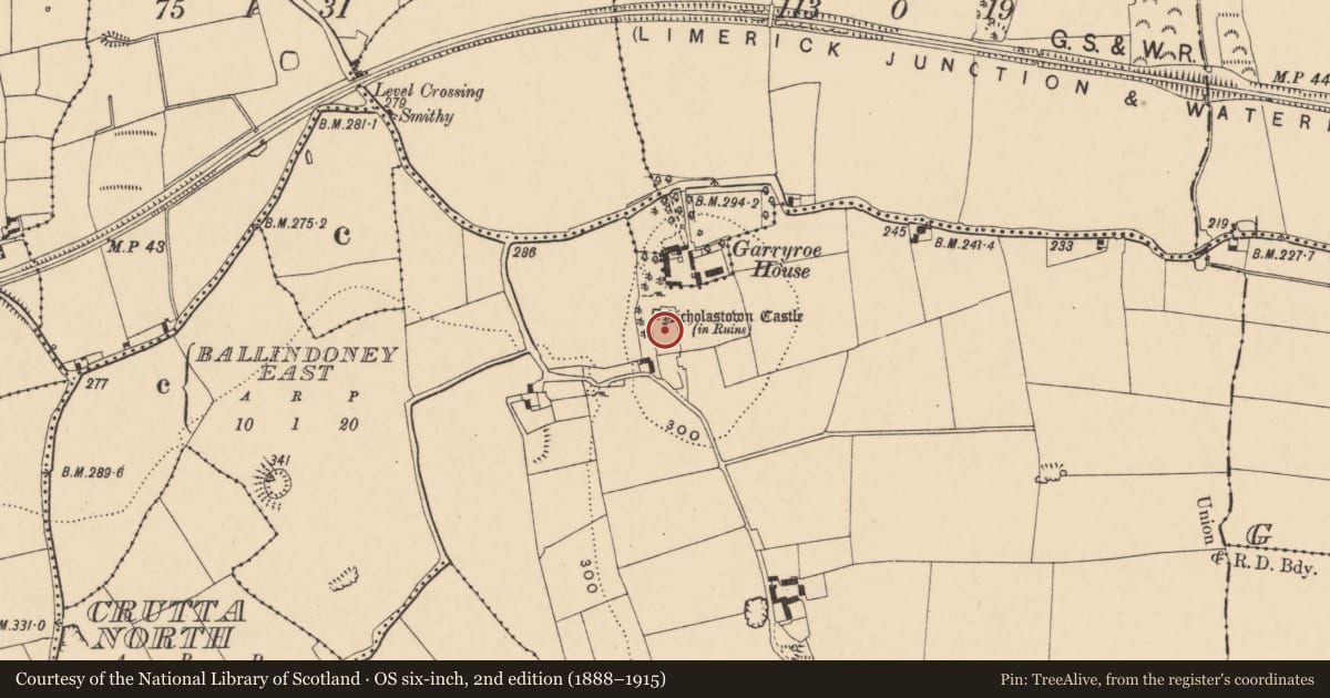 Ordnance Survey six-inch map, 2nd edition (1888–1915) covering the location of House - 17th century, Nicholastown, County Tipperary South, with a pin at the register's coordinates