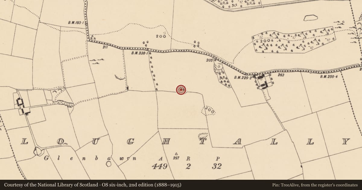 Ordnance Survey six-inch map, 2nd edition (1888–1915) covering the location of Ringfort - rath, Loughtally, County Tipperary South, with a pin at the register's coordinates