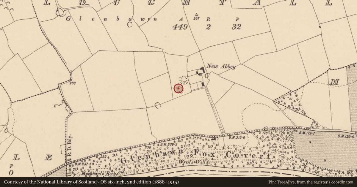 Ordnance Survey six-inch map, 2nd edition (1888–1915) covering the location of Enclosure, Loughtally, County Tipperary South, with a pin at the register's coordinates
