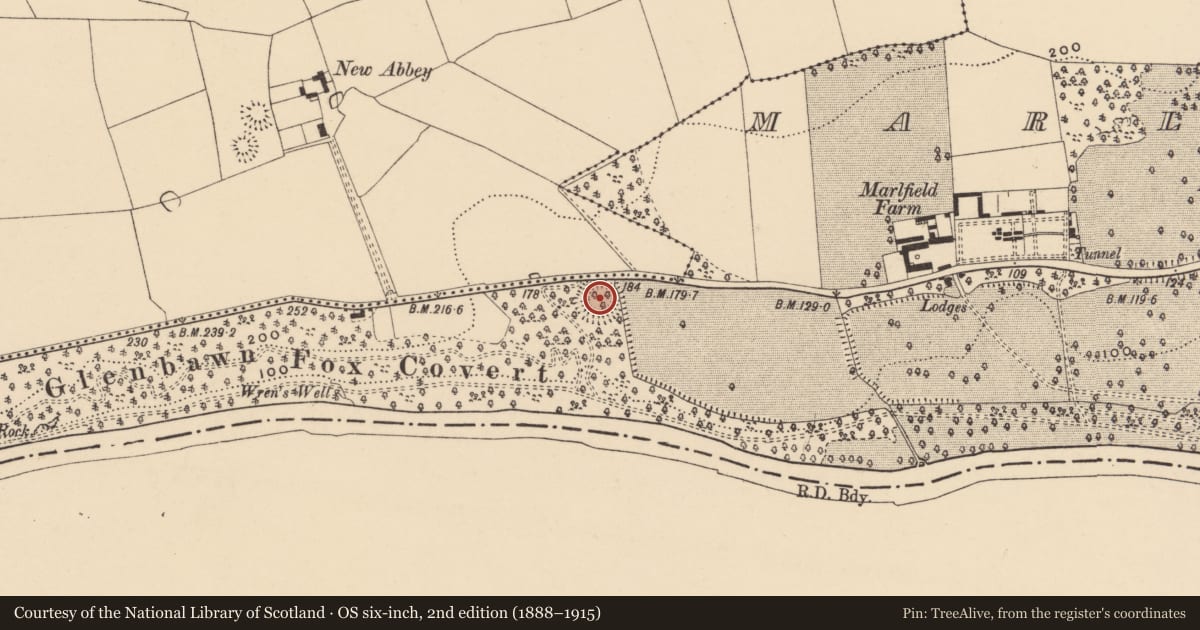 Ordnance Survey six-inch map, 2nd edition (1888–1915) covering the location of Ringfort - rath, Marlfield, County Tipperary South, with a pin at the register's coordinates