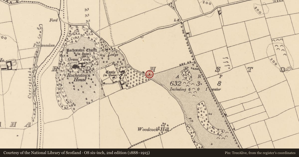 Ordnance Survey six-inch map, 2nd edition (1888–1915) covering the location of Settlement cluster, Rochestown, County Tipperary South, with a pin at the register's coordinates
