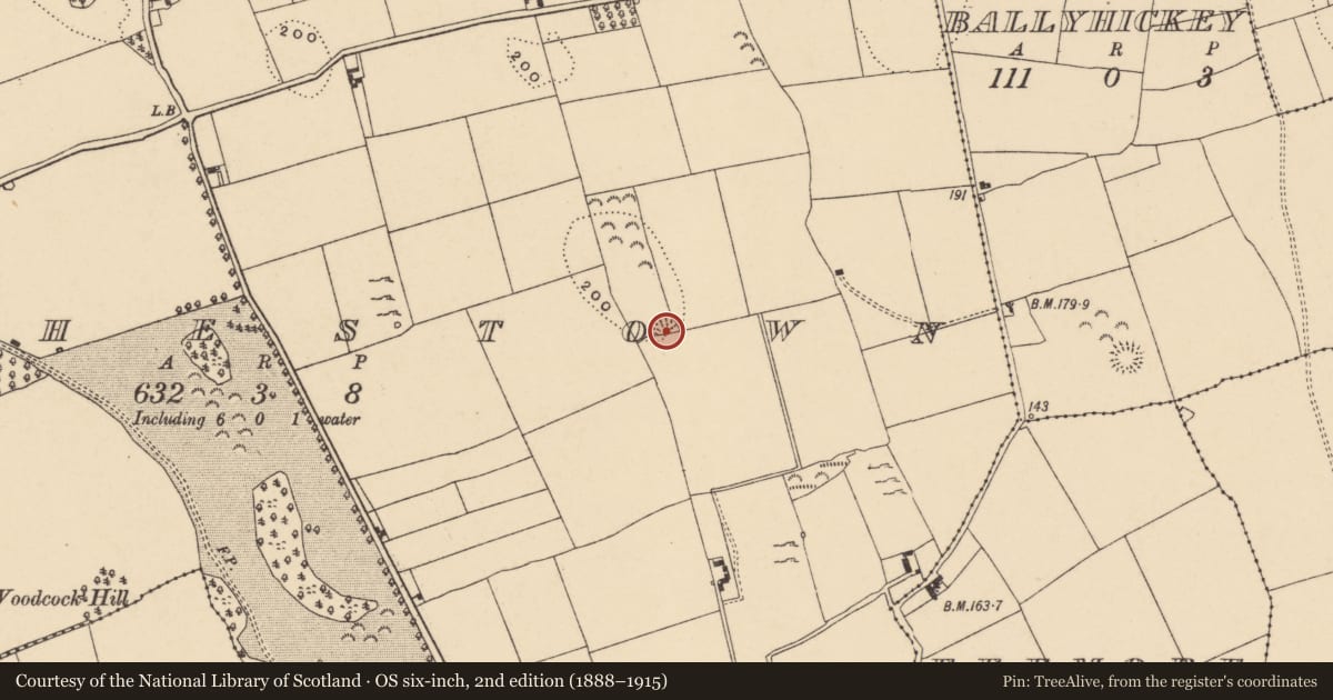 Ordnance Survey six-inch map, 2nd edition (1888–1915) covering the location of Enclosure, Rochestown, County Tipperary South, with a pin at the register's coordinates