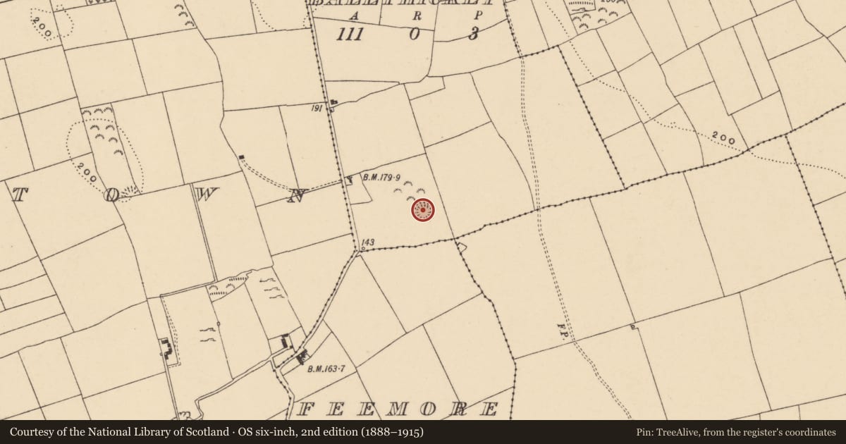 Ordnance Survey six-inch map, 2nd edition (1888–1915) covering the location of Ringfort - rath, Ballyhickey, County Tipperary South, with a pin at the register's coordinates