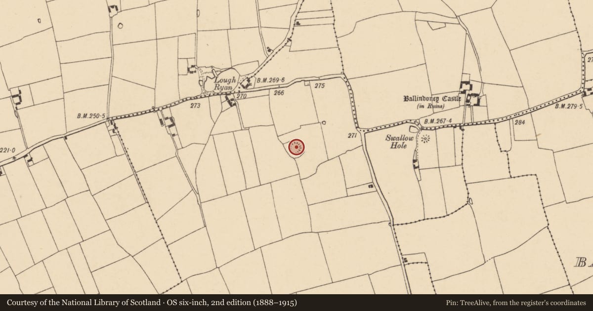 Ordnance Survey six-inch map, 2nd edition (1888–1915) covering the location of Ringfort - rath, Cloghanacody (Derrygrath Par.), County Tipperary South, with a pin at the register's coordinates