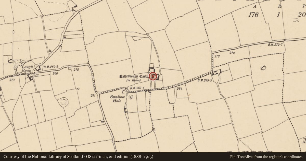 Ordnance Survey six-inch map, 2nd edition (1888–1915) covering the location of Castle - tower house, Ballindoney West, County Tipperary South, with a pin at the register's coordinates