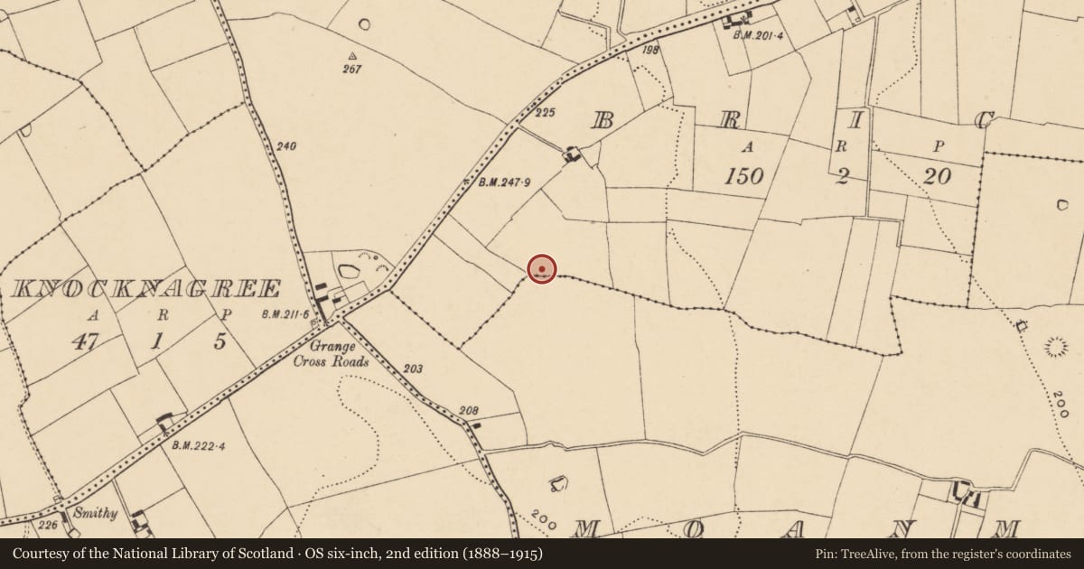 Ordnance Survey six-inch map, 2nd edition (1888–1915) covering the location of Enclosure, Brick, County Tipperary South, with a pin at the register's coordinates