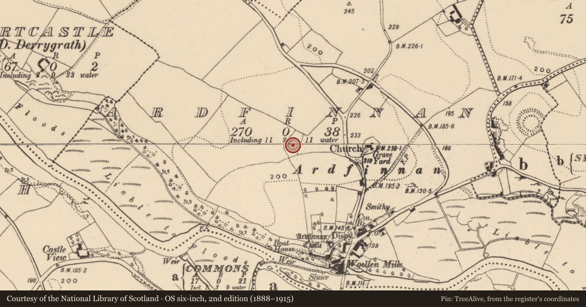 Ordnance Survey six-inch map, 2nd edition (1888–1915) covering the location of Ringfort - rath, Ardfinnan, County Tipperary South, with a pin at the register's coordinates