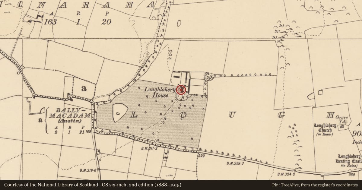 Ordnance Survey six-inch map, 2nd edition (1888–1915) covering the location of House - 17th century, Loughlohery, County Tipperary South, with a pin at the register's coordinates