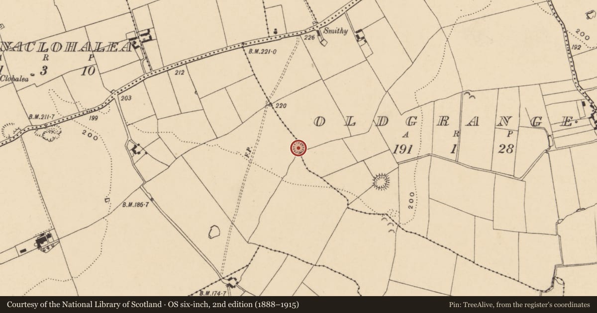 Ordnance Survey six-inch map, 2nd edition (1888–1915) covering the location of Ringfort - rath, Ballyneety (Tullaghmelan Par.), Oldgrange, County Tipperary South, with a pin at the register's coordinates