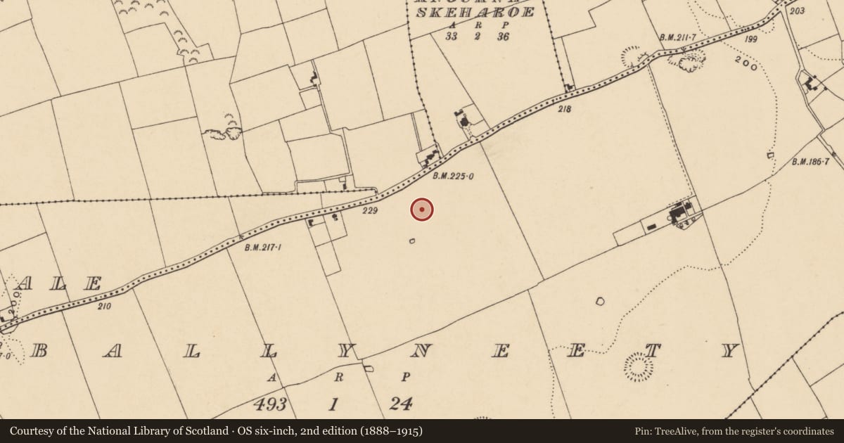 Ordnance Survey six-inch map, 2nd edition (1888–1915) covering the location of Enclosure, Ballyneety (Neddans Par.), County Tipperary South, with a pin at the register's coordinates