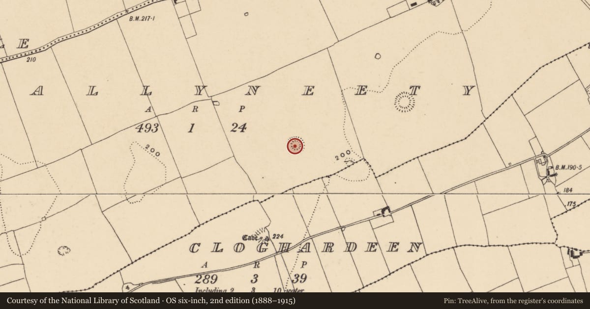 Ordnance Survey six-inch map, 2nd edition (1888–1915) covering the location of Ringfort - rath, Ballyneety (Neddans Par.), County Tipperary South, with a pin at the register's coordinates