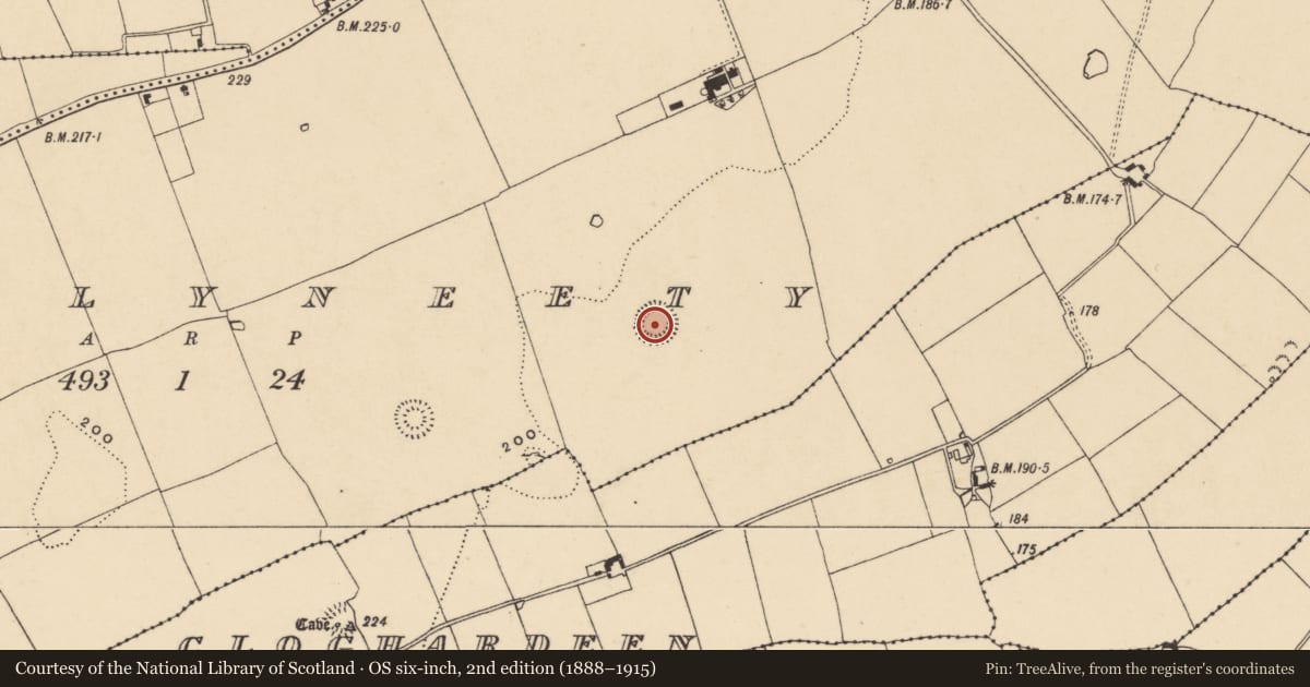 Ordnance Survey six-inch map, 2nd edition (1888–1915) covering the location of Ringfort - rath, Ballyneety (Neddans Par.), County Tipperary South, with a pin at the register's coordinates