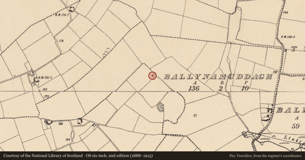 Ordnance Survey six-inch map, 2nd edition (1888–1915) covering the location of Enclosure, Ballynamuddagh, Neddans (Nagle), County Tipperary South, with a pin at the register's coordinates